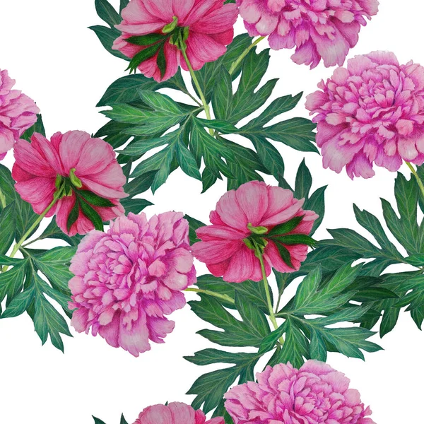 Kwiatowy Bezszwowy Wzór Pięknymi Kwitnącymi Piwoniami Dekoracyjny Botaniczny Odcisk Kwiatu — Zdjęcie stockowe