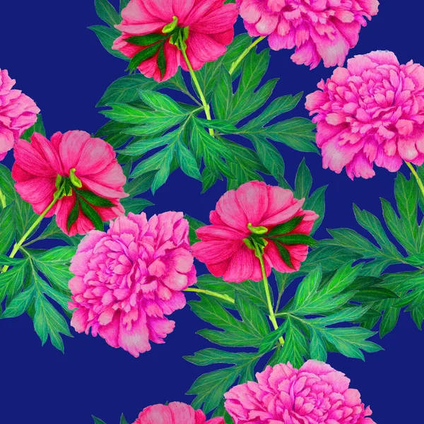 美しい開花牡丹と花のシームレスなパターン 装飾的な植物牡丹の花のプリント 手描きクレヨンイラスト — ストック写真