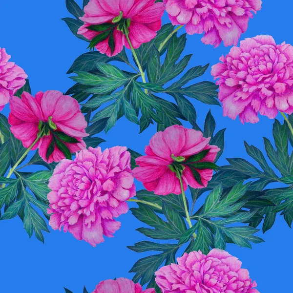 Patrón Sin Costura Floral Con Hermosas Peonías Florecientes Peonía Botánica —  Fotos de Stock