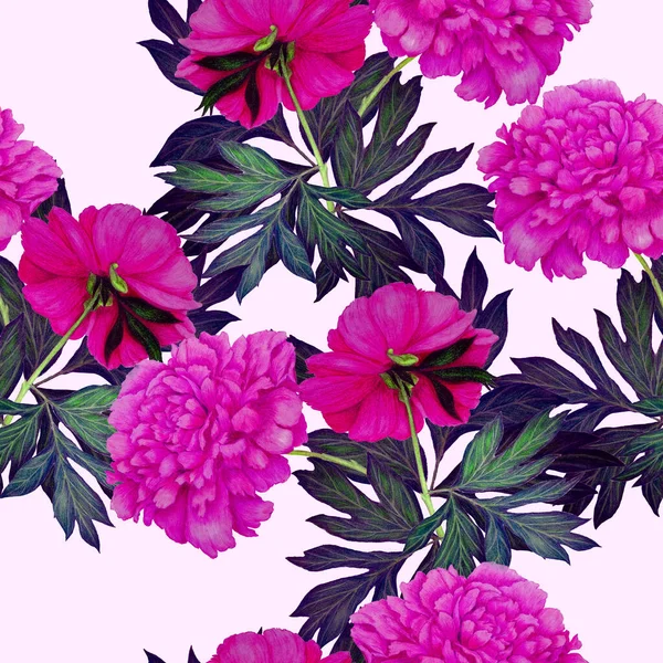 Floral Seamless Pattern Beautiful Blooming Peonies Decorative Botanic Peony Flower — Stock Photo, Image