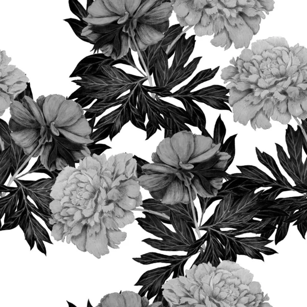 美しい開花牡丹と花のシームレスなパターン 装飾的な植物牡丹の花のプリント 手描きクレヨンイラスト — ストック写真