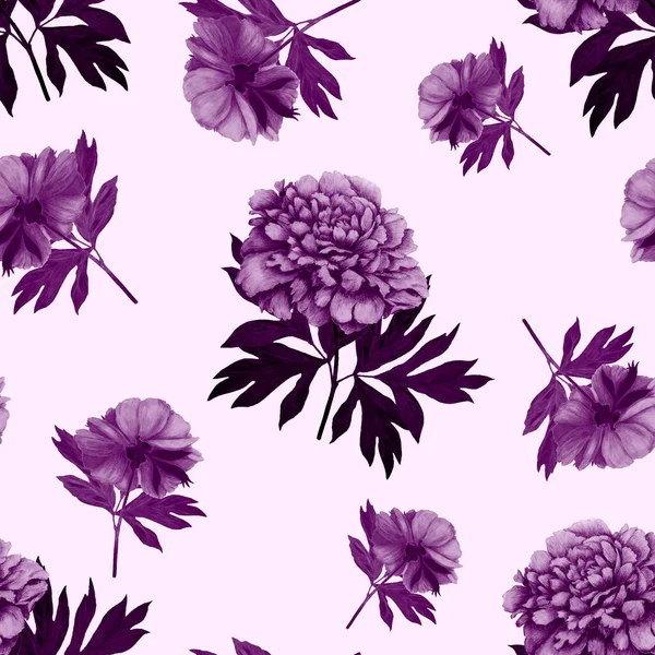 Floral Seamless Pattern Beautiful Blooming Peonies Decorative Botanic Peony Flower — Stock Photo, Image