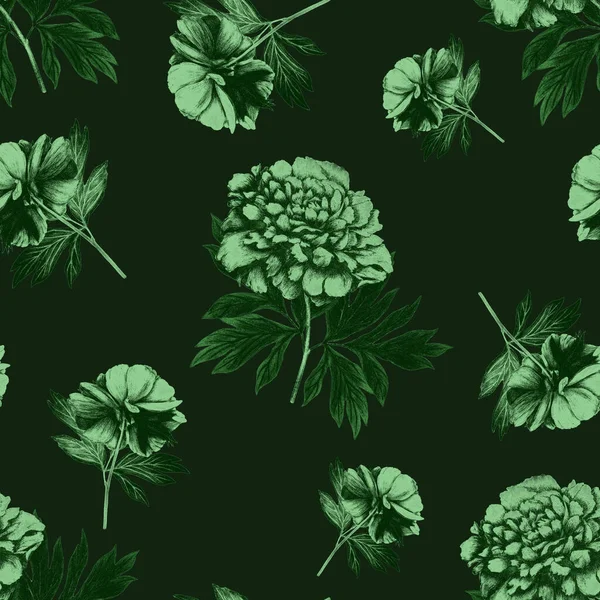 Padrão Sem Costura Floral Com Belas Peônias Florescendo Peônia Botânica — Fotografia de Stock