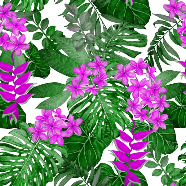 Гавайський Квітковий Візерунок Акварельними Тропічними Листками Квітами Exotic Plumeria Heliconia — стокове фото