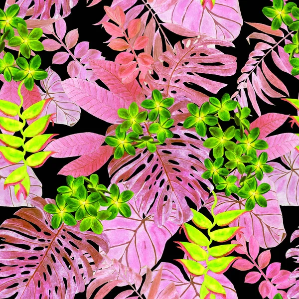 하와이에서는 지방에 자생하는 식물의 바닷말 형태이다 이색적 코니아 손으로 이색적 — 스톡 사진