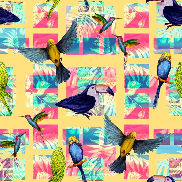 Tropical Seamless Pattern Watercolor Birds Geometric Background Colorful Hand Drawn — Stock Photo, Image