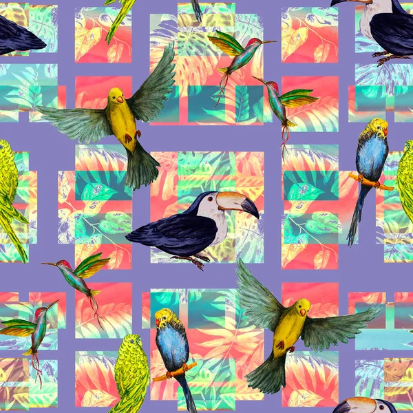 Тропічний Безшовний Візерунок Акварельними Птахами Геометричному Фоні Барвиста Намальована Рука — стокове фото