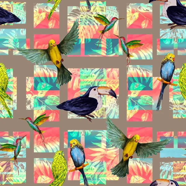 Padrão Sem Costura Tropical Com Aves Aquarelas Fundo Geométrico Ilustração — Fotografia de Stock