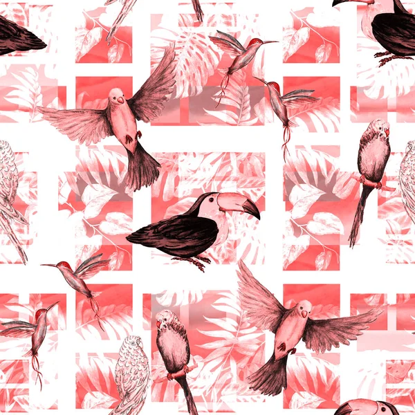 Padrão Sem Costura Tropical Com Aves Aquarelas Fundo Geométrico Ilustração — Fotografia de Stock