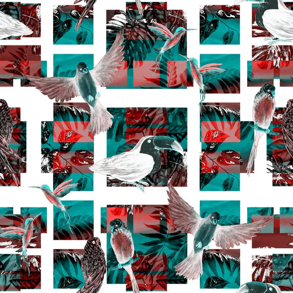 Geometrik Arka Planda Suluboya Kuşları Olan Tropikal Pürüzsüz Bir Desen — Stok fotoğraf