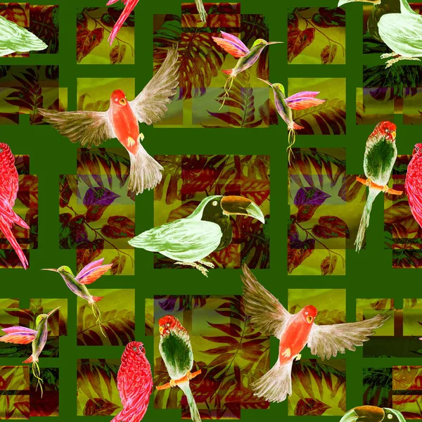 Tropical Seamless Pattern Watercolor Birds Geometric Background Colorful Hand Drawn — Stock Photo, Image