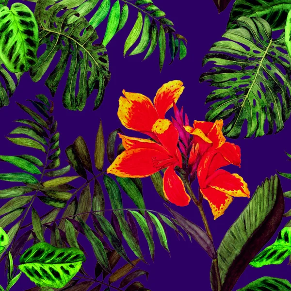 Hawaiian Floral Seamless Pattern Watercolor Tropical Illustration Exotic Canna Flowers — Stock Photo, Image