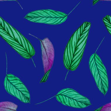 Orman yapraklı, tropik, pürüzsüz bir desen. Maranta. Elle çizilmiş egzotik bitkilerle çok güzel bir iz. Yaz doğal arka plan.