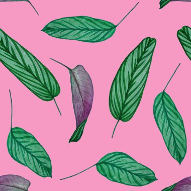 Orman yapraklı, tropik, pürüzsüz bir desen. Maranta. Elle çizilmiş egzotik bitkilerle çok güzel bir iz. Yaz doğal arka plan.