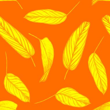 Orman yapraklı, tropik, pürüzsüz bir desen. Maranta. Elle çizilmiş egzotik bitkilerle çok güzel bir iz. Yaz doğal arka plan.