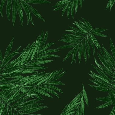 Orman yapraklı, tropik, pürüzsüz bir desen. Avuç içi. Hawaii tarzında elle çizilmiş egzotik bitkilerle çok güzel bir iz. Yaz doğal arka plan.