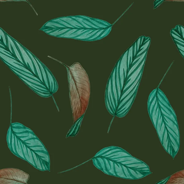 Тропический Бесшовный Рисунок Листьями Джунглей Маранта Печатаем Экзотические Растения Вручную — стоковое фото