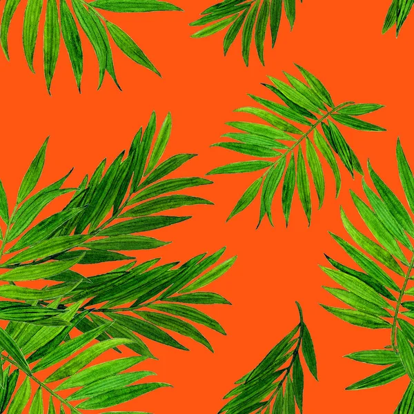 Tropical Seamless Pattern Jungle Leaves Palm Beautiful Allover Print Hand — Stock Photo, Image