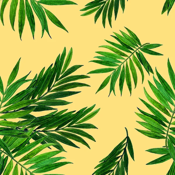 Tropical Seamless Pattern Jungle Leaves Palm Beautiful Allover Print Hand — Stock Photo, Image