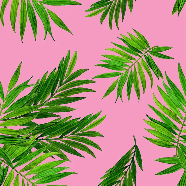 Tropical Seamless Pattern Jungle Leaves Palm Beautiful Allover Print Hand — Stock Photo, Image