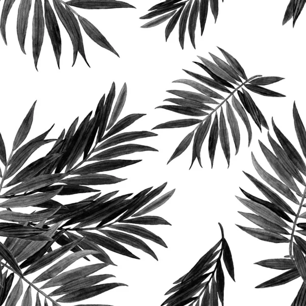 Patrón Tropical Sin Costuras Con Hojas Selva Palm Hermoso Estampado — Foto de Stock