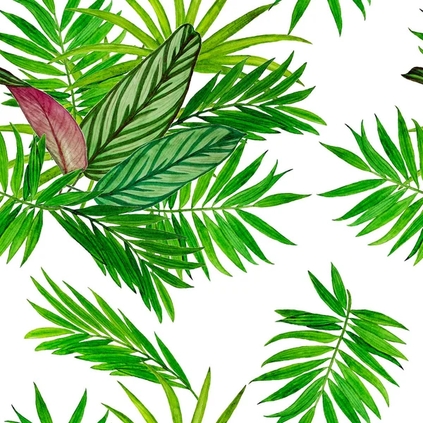 Orman Yapraklı Tropik Pürüzsüz Bir Desen Avuç Içi Hawaii Tarzında — Stok fotoğraf