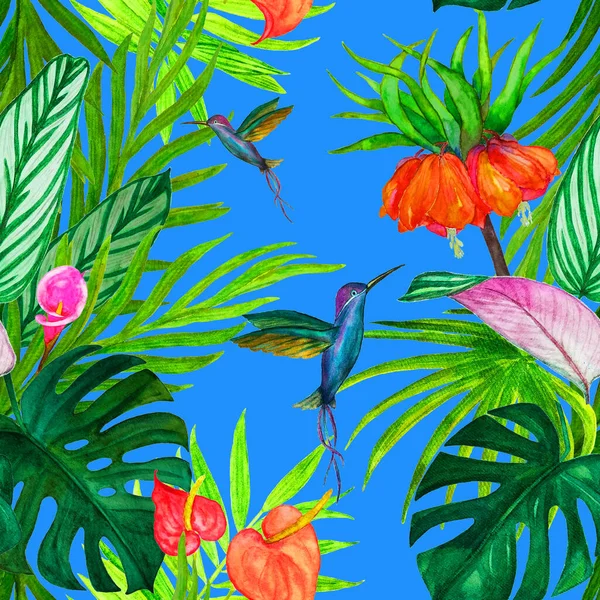装饰无缝图案与水彩画热带 手绘异国情调的植物和蜂鸟的美丽合金图案 — 图库照片