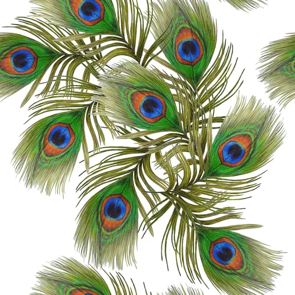 Decorative Seamless Pattern Beautiful Peacock Feathers Trendy Vintage Texture Hand — Stock Photo, Image