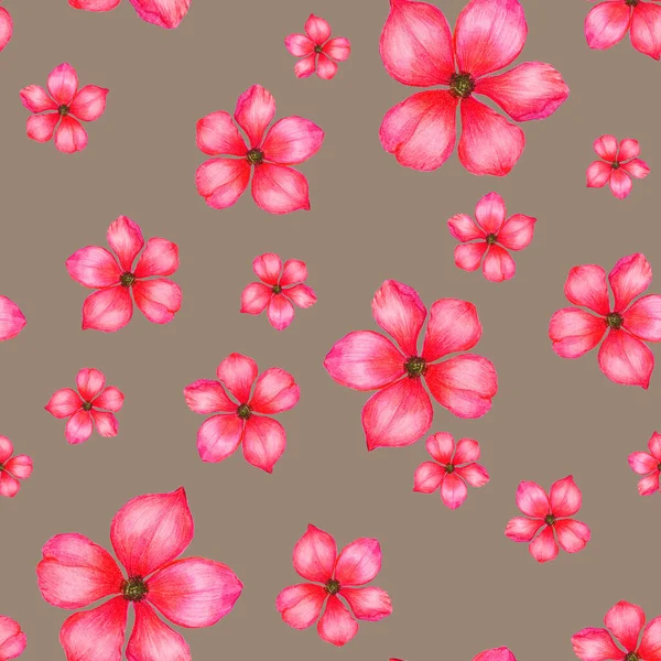 Mooi Naadloos Patroon Met Gestileerde Bloemen Botanische Zomerprint Handgetekend Met — Stockfoto