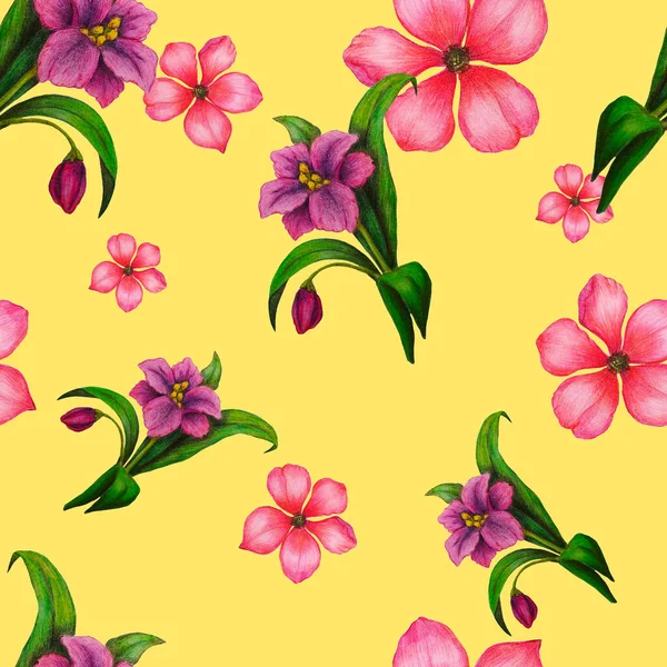 様式化された花と美しいシームレスなパターン 植物夏プリント 色鉛筆で手描き — ストック写真