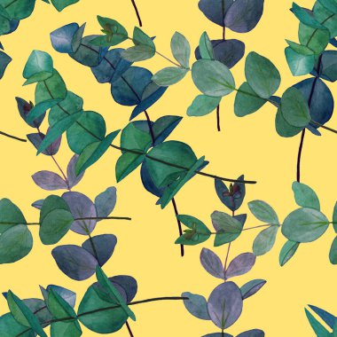 Okaliptüs dallı dikişsiz suluboya desen. Yaprak arkaplan. Çiçek mahsulü dekorasyon. Her türlü tasarım için kullanılabilir..