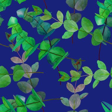 Okaliptüs dallı dikişsiz suluboya desen. Yaprak arkaplan. Çiçek mahsulü dekorasyon. Her türlü tasarım için kullanılabilir..