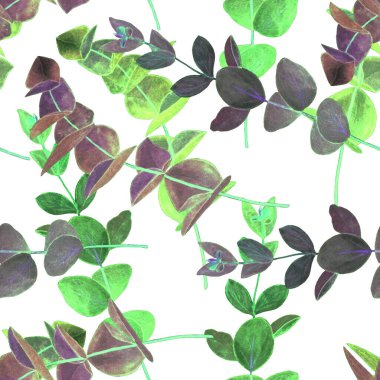 Okaliptüs dallı dikişsiz suluboya desen. Yaprak arkaplan. Çiçek mahsulü dekorasyon. Her türlü tasarım için kullanılabilir..