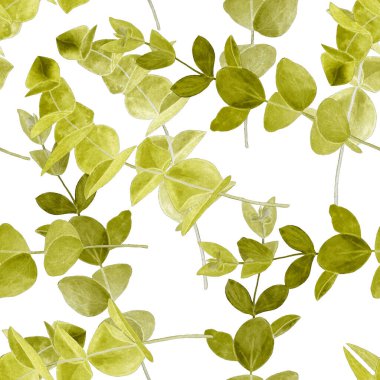 Okaliptüs dallı dikişsiz suluboya desen. Yaprak arkaplan. Çiçek mahsulü dekorasyon. Her türlü tasarım için kullanılabilir..