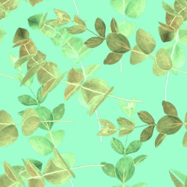 Okaliptüs dallı dikişsiz suluboya desen. Yaprak arkaplan. Çiçek mahsulü dekorasyon. Her türlü tasarım için kullanılabilir..
