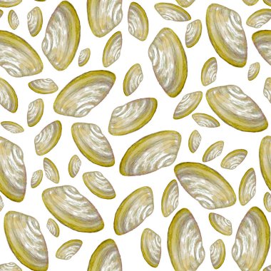 Deniz kabukları ile soyut suluboya desenleri. Güzel bir doğa geçmişi var. Herhangi bir tasarım için.