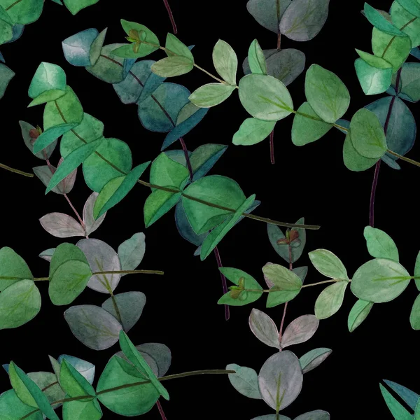 Bezešvé Akvarel Vzor Eukaliptus Větev Černé Pozadí Listu Květinová Výzdoba — Stock fotografie