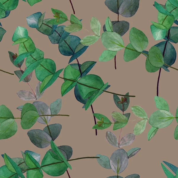 Watercolor seamless pattern with eucalyptus branch. Leaf background. Floral vintage decoration. Can be used for any kind of a design.