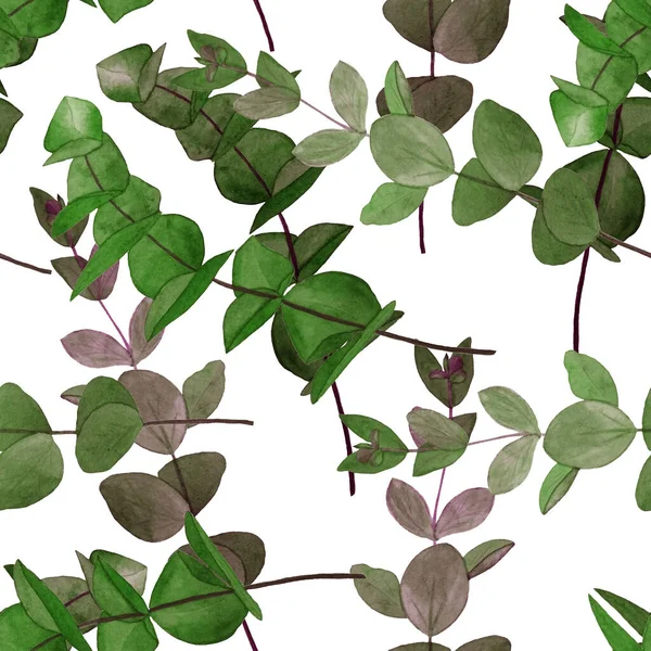 Aquarell Nahtloses Muster Mit Eukalyptuszweig Blätterhintergrund Florale Vintage Dekoration Kann — Stockfoto