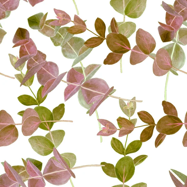 Watercolor Seamless Pattern Eucalyptus Branch Leaf Background Floral Vintage Decoration — Stock Photo, Image