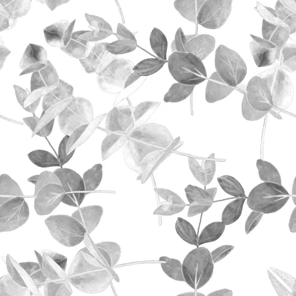 Watercolor Seamless Pattern Eucaliptus Branch Leaf Background Floral Vintage Monochrome — Stock Photo, Image