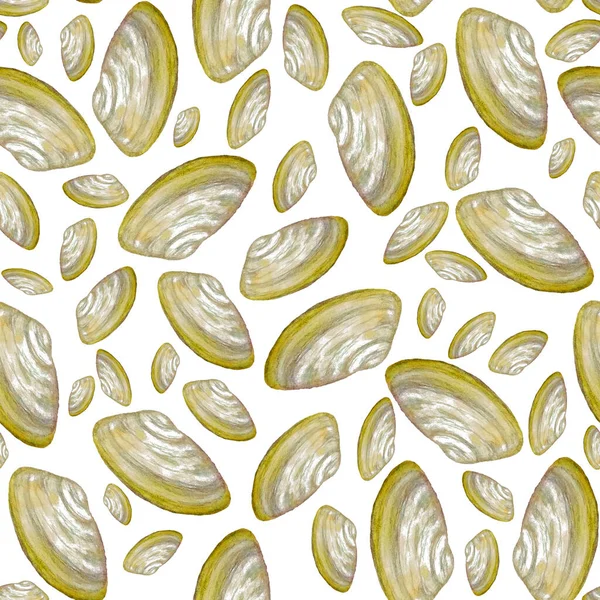 Deniz kabukları ile soyut suluboya desenleri. Güzel bir doğa geçmişi var. Herhangi bir tasarım için.