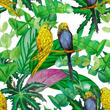 Suluboya orman yaprakları ve muhabbet kuşlarıyla tropik, pürüzsüz bir desen. Hawaii yaz tropik illüstrasyonları. Egzotik doğal baskı..