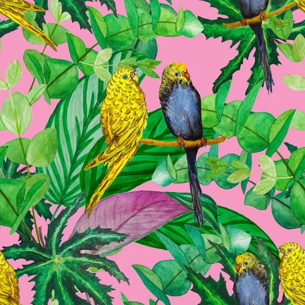 Suluboya Orman Yaprakları Muhabbet Kuşlarıyla Tropik Pürüzsüz Bir Desen Hawaii — Stok fotoğraf