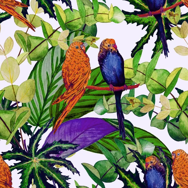 Patrón Tropical Sin Costuras Con Follaje Selva Acuarela Periquitos Ilustración — Foto de Stock