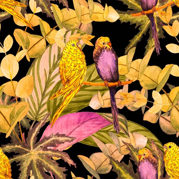 Tropical Seamless Pattern Watercolor Jungle Foliage Budgies Hawaiian Summer Tropical — Stock Photo, Image