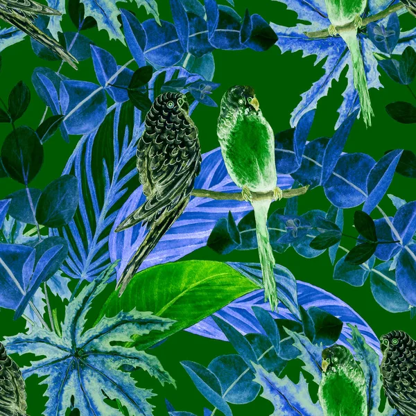 Tropical Seamless Pattern Watercolor Jungle Foliage Budgies Hawaiian Summer Tropical — Stock Photo, Image