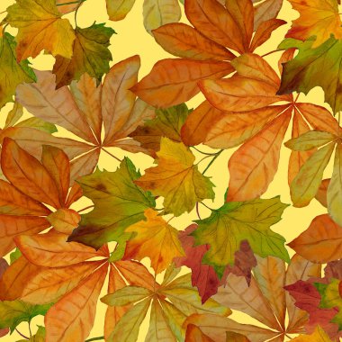 Suluboya yaprakları dökülen güzel, pürüzsüz desen. Güzel, doğal sonbahar baskısı. Renkli el çizimi illüstrasyonu.