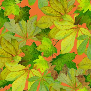 Suluboya yaprakları dökülen güzel, pürüzsüz desen. Güzel, doğal sonbahar baskısı. Renkli el çizimi illüstrasyonu.