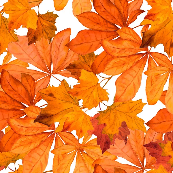 Όμορφη Απρόσκοπτη Μοτίβο Ακουαρέλα Φύλλα Που Πέφτουν Όμορφη Φυσική Φθινοπωρινή — Φωτογραφία Αρχείου